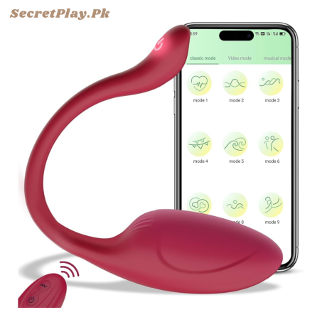 APP Remote Control G-spot Panty Vibrator