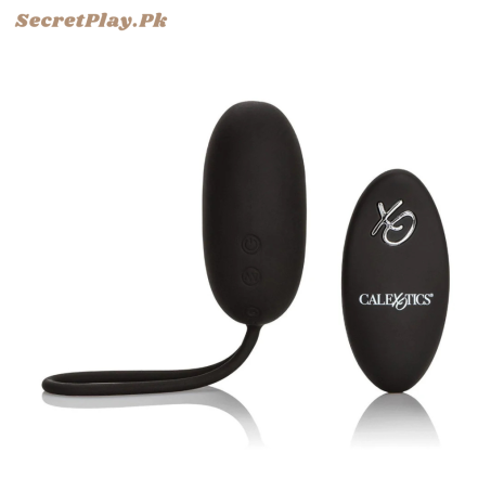 Silicone Egg Vibrator With Remote 